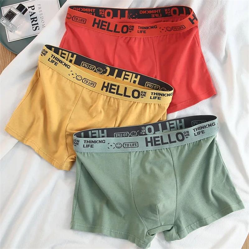 10 個/メンズ下着男性純粋な綿のパンツ男性ブランドパンティ - Boxer Shorts Modal のレビューと価格