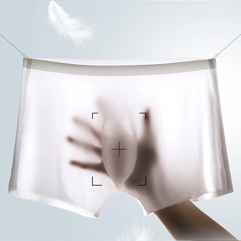 10 ピース/ロットメンズ夏のアイスシルクボクサーブリーフシ - Boxer Shorts Modal のレビューと価格