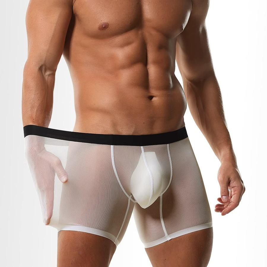 メンズ脚長ボクサーパンツアイスシルク薄手のセクシーな下着 U - Long Leg Trunk Men のレビューと価格